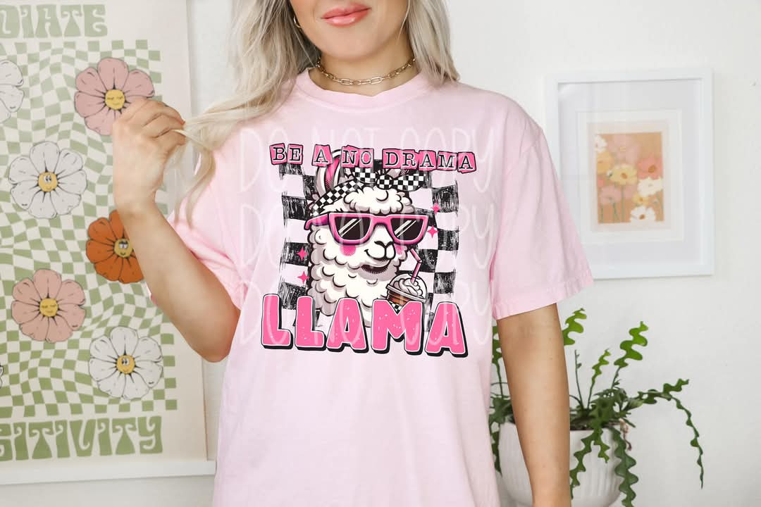 Be A No Drama Llama PNG Design