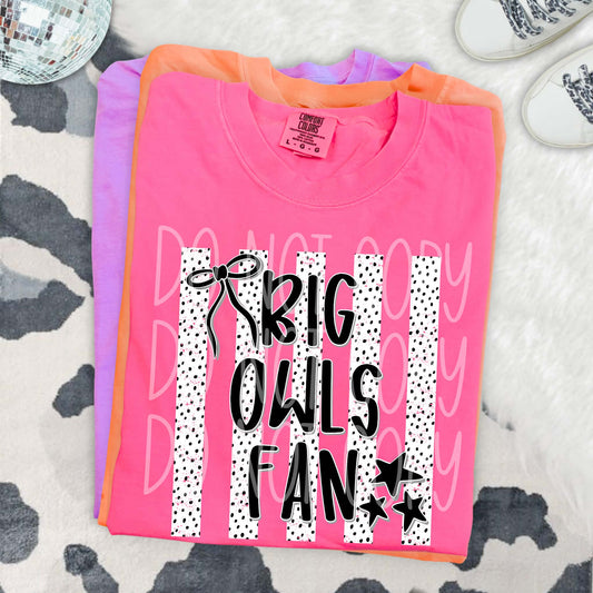 Big Owls Fan PNG Design