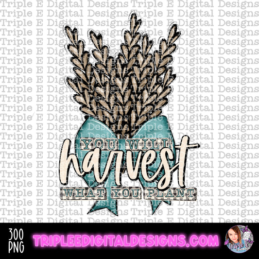 You Will Harvest What You Plant PNG